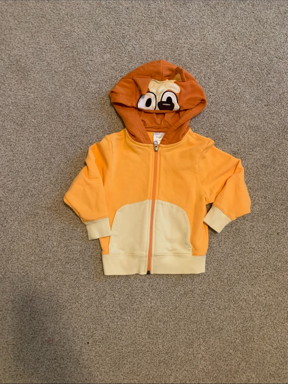 Hanna Andersson Bingo from Bluey Hoodie